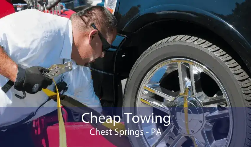 Cheap Towing Chest Springs - PA