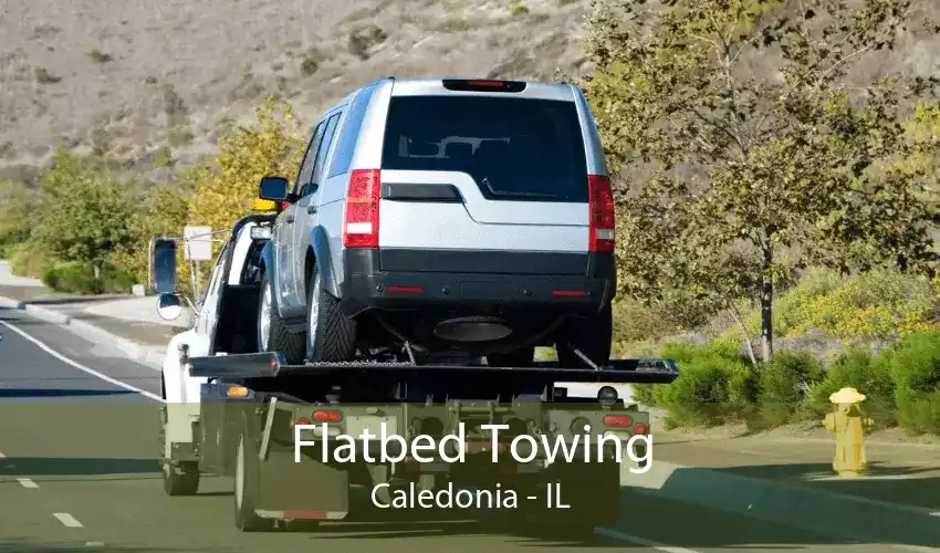 Flatbed Towing Caledonia - IL