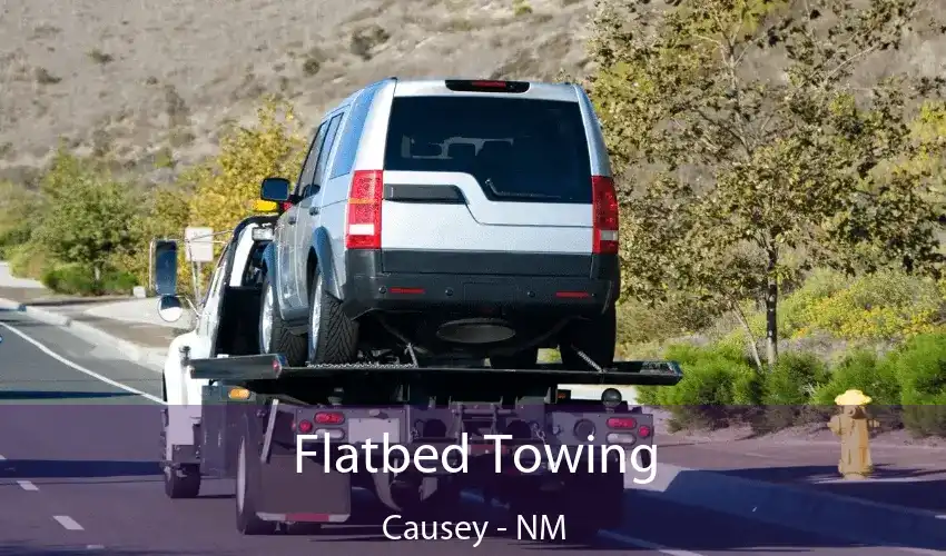 Flatbed Towing Causey - NM