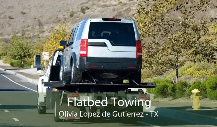 Flatbed Towing Olivia Lopez de Gutierrez - TX