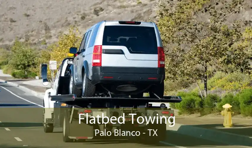 Flatbed Towing Palo Blanco - TX