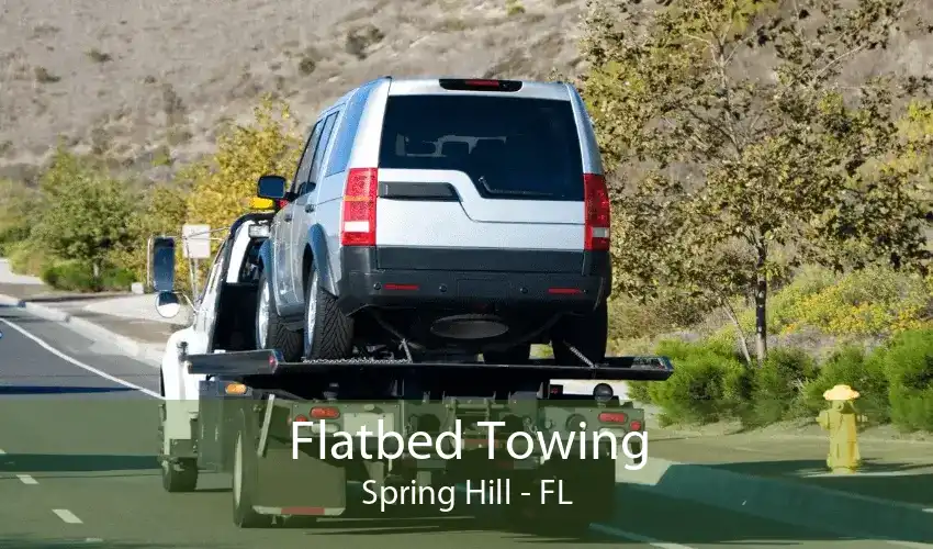 Flatbed Towing Spring Hill - FL