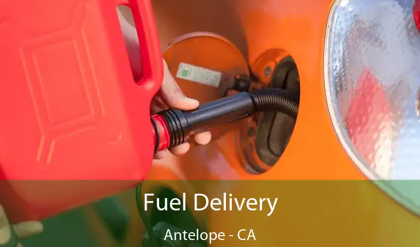 Fuel Delivery Antelope - CA