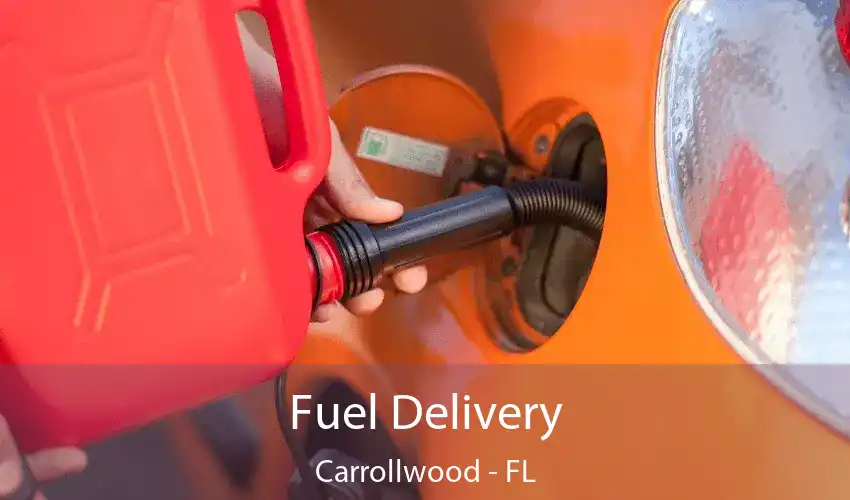 Fuel Delivery Carrollwood - FL