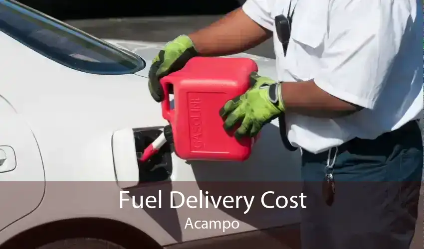 Fuel Delivery Cost Acampo
