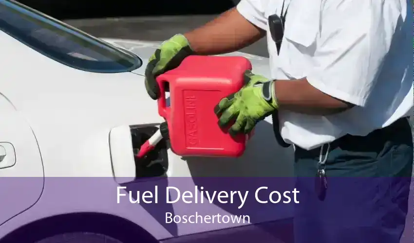 Fuel Delivery Cost Boschertown