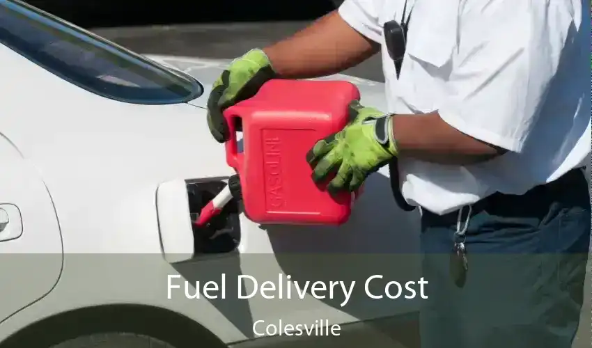 Fuel Delivery Cost Colesville