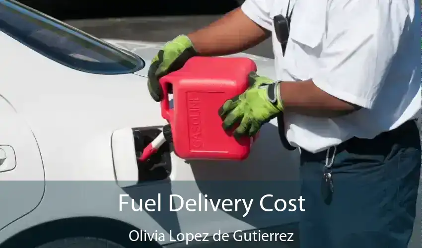 Fuel Delivery Cost Olivia Lopez de Gutierrez