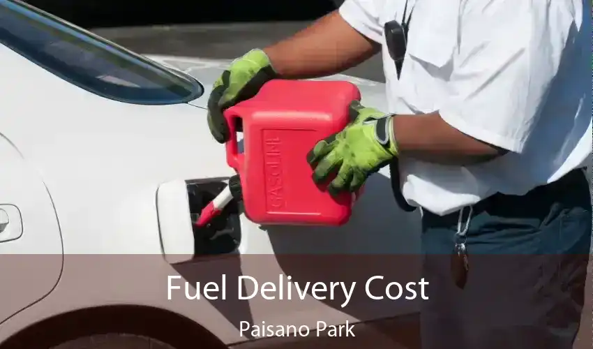 Fuel Delivery Cost Paisano Park