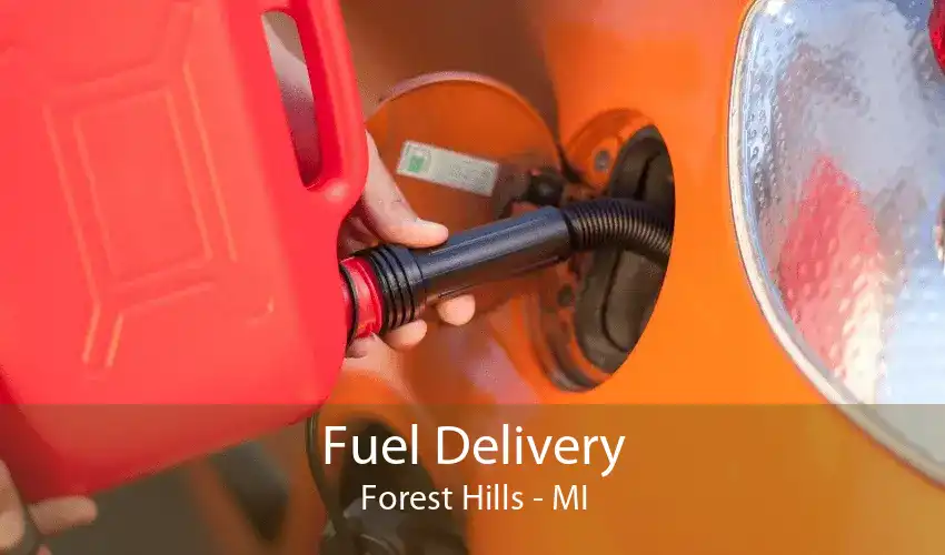 Fuel Delivery Forest Hills - MI