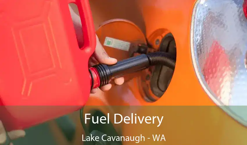 Fuel Delivery Lake Cavanaugh - WA