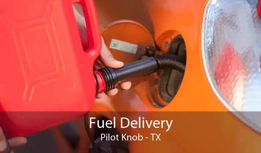 Fuel Delivery Pilot Knob - TX