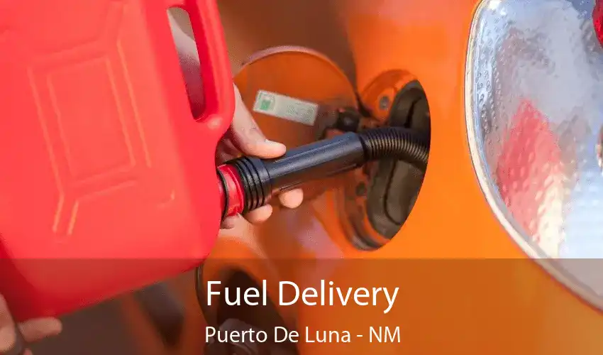 Fuel Delivery Puerto De Luna - NM