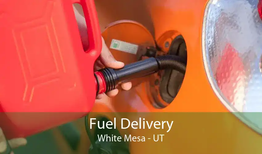 Fuel Delivery White Mesa - UT