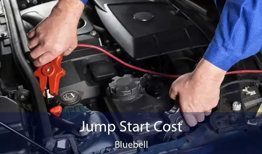 Jump Start Cost Bluebell