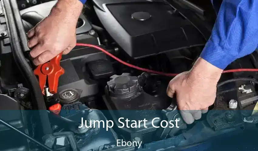 Jump Start Cost Ebony