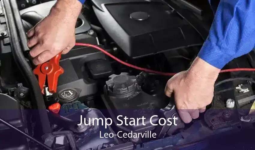 Jump Start Cost Leo-Cedarville
