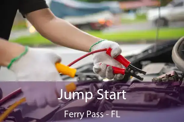 Jump Start Ferry Pass - FL