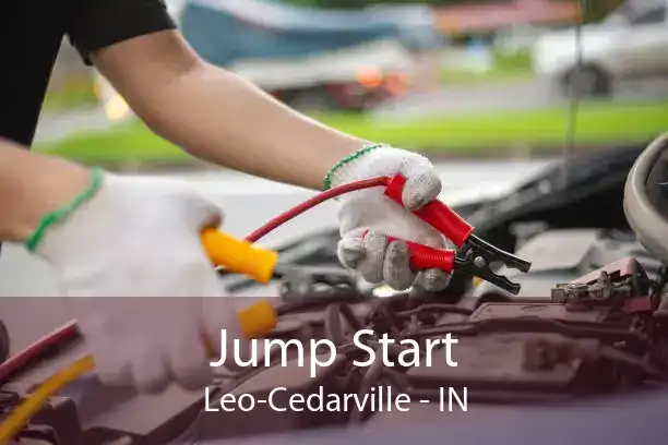Jump Start Leo-Cedarville - IN