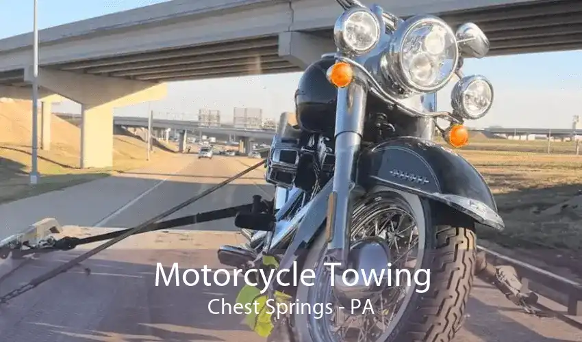 Motorcycle Towing Chest Springs - PA