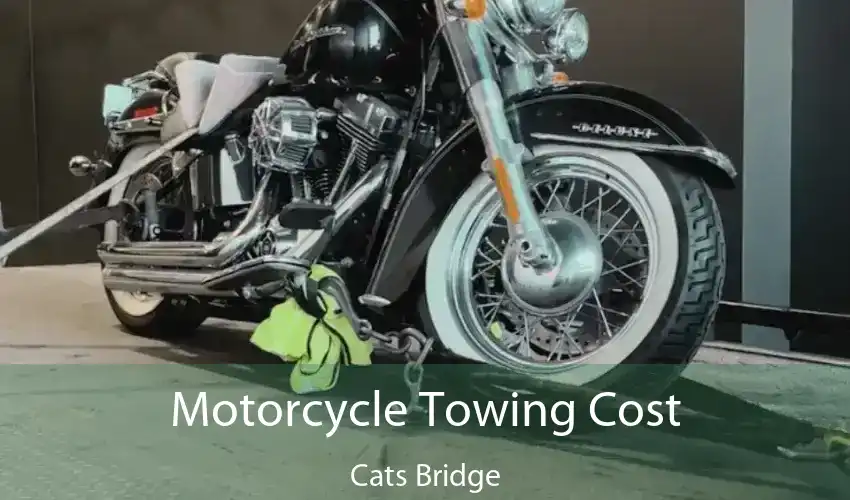 Motorcycle Towing Cost Cats Bridge