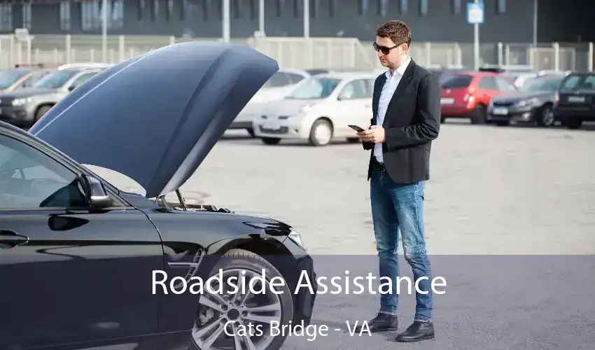 Roadside Assistance Cats Bridge - VA