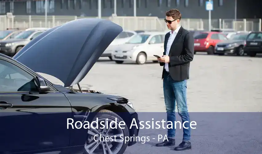 Roadside Assistance Chest Springs - PA