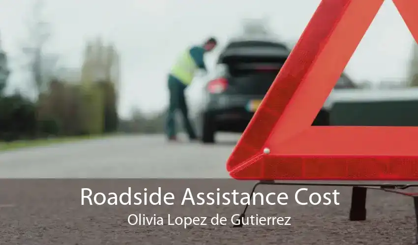 Roadside Assistance Cost Olivia Lopez de Gutierrez