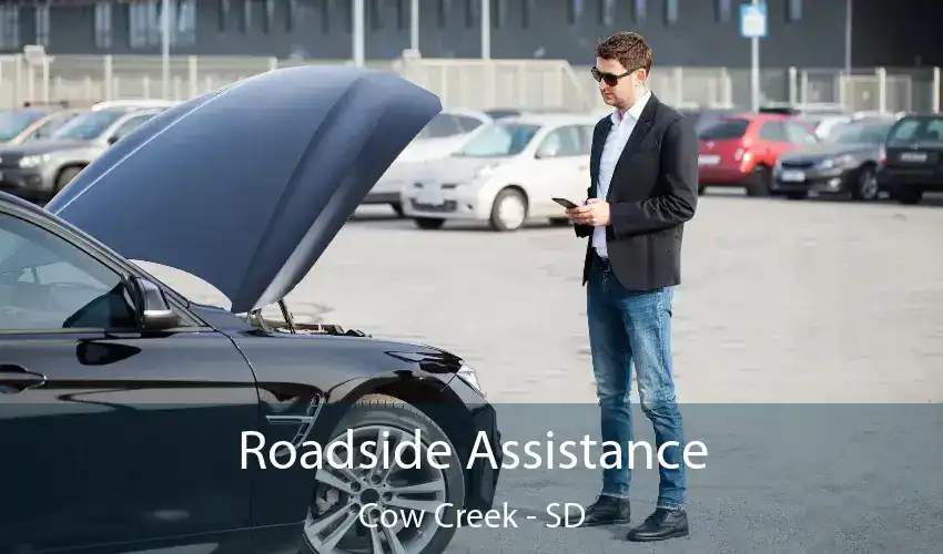 Roadside Assistance Cow Creek - SD