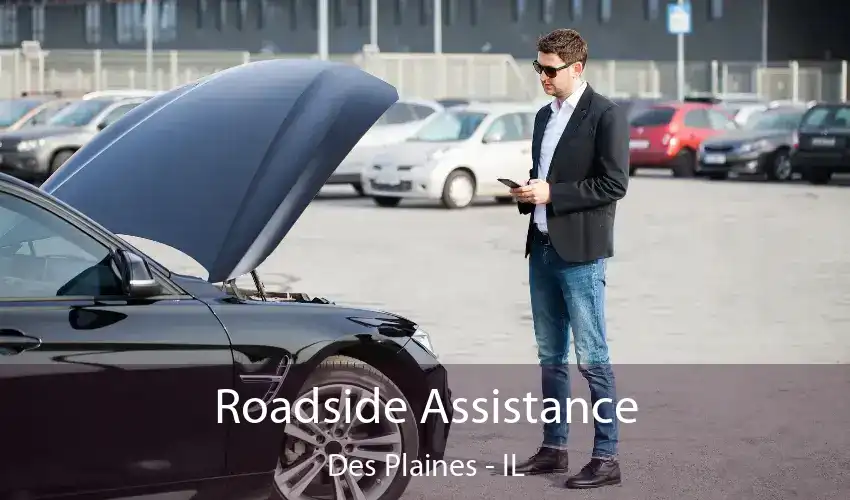 Roadside Assistance Des Plaines - IL