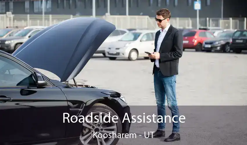 Roadside Assistance Koosharem - UT