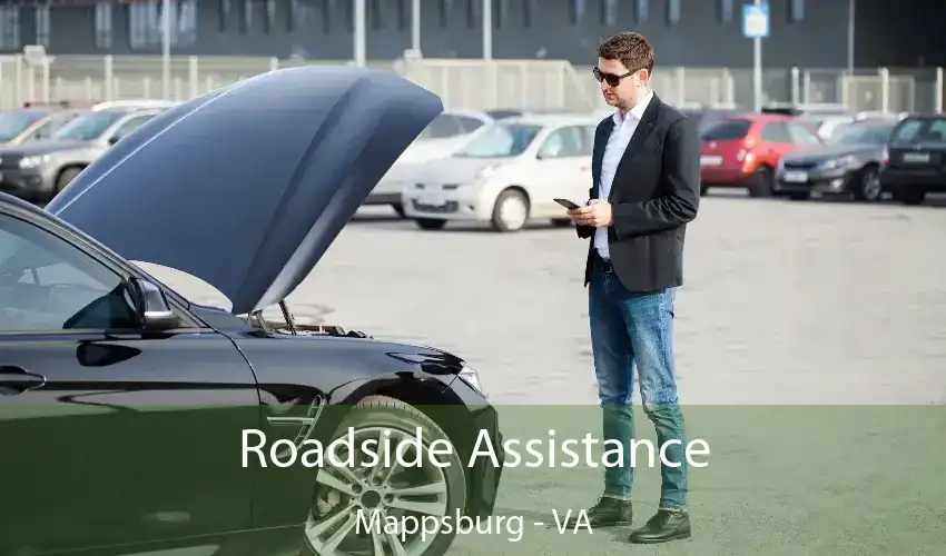 Roadside Assistance Mappsburg - VA