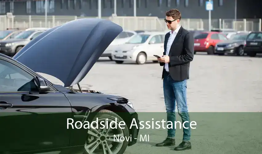 Roadside Assistance Novi - MI