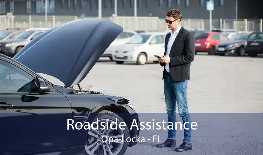 Roadside Assistance Opa-Locka - FL