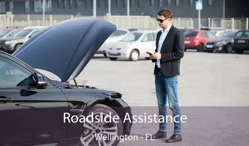 Roadside Assistance Wellington - FL