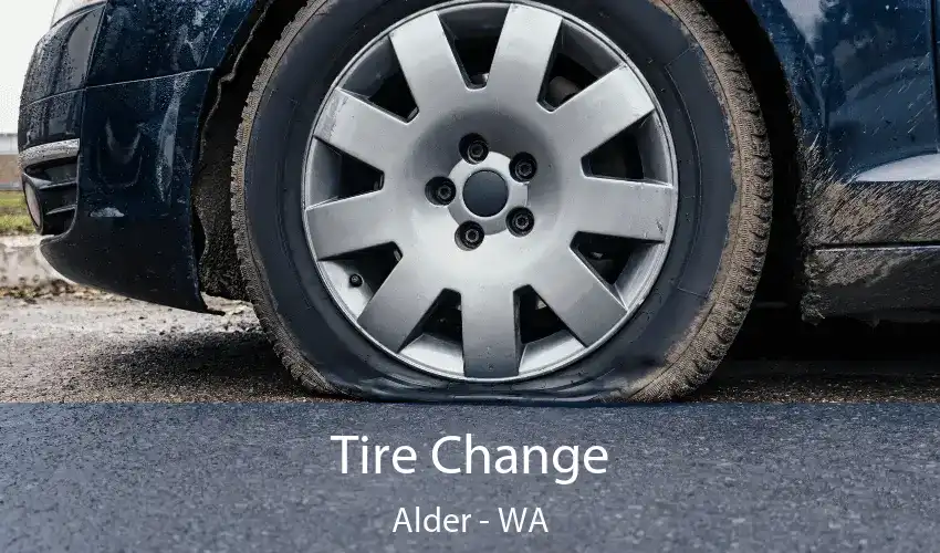 Tire Change Alder - WA