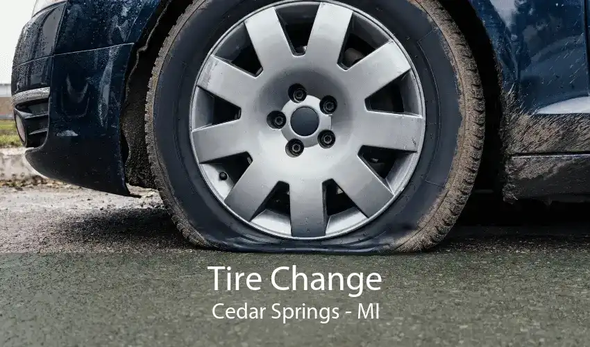 Tire Change Cedar Springs - MI