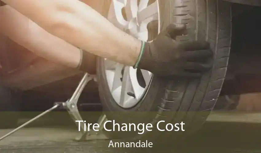 Tire Change Cost Annandale