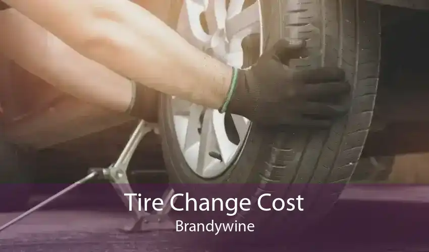 Tire Change Cost Brandywine