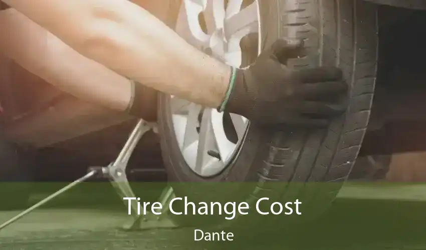 Tire Change Cost Dante