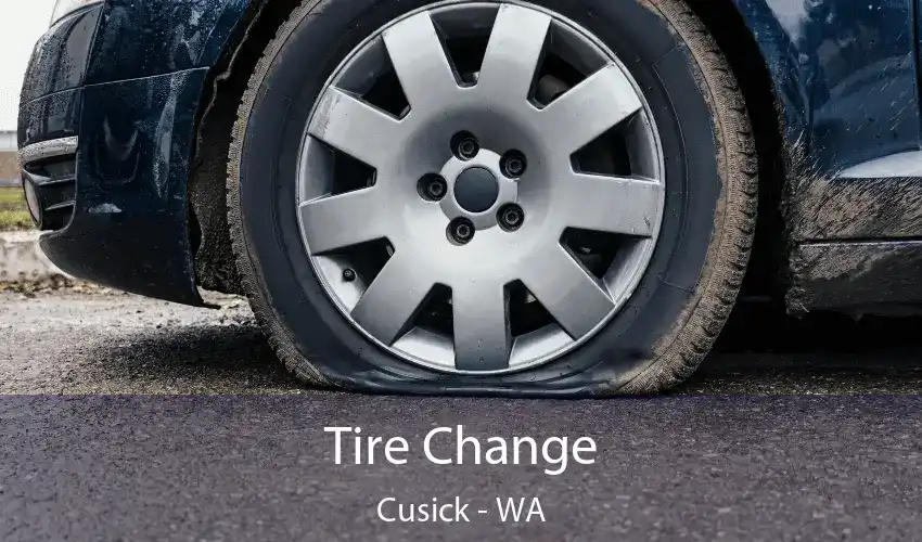 Tire Change Cusick - WA