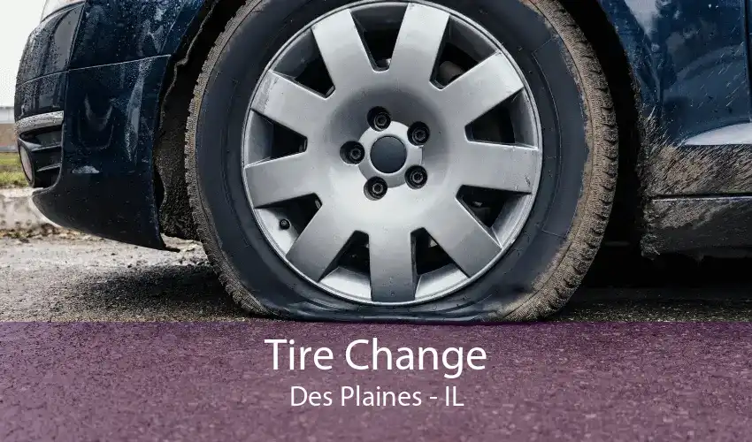 Tire Change Des Plaines - IL