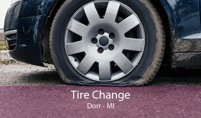 Tire Change Dorr - MI