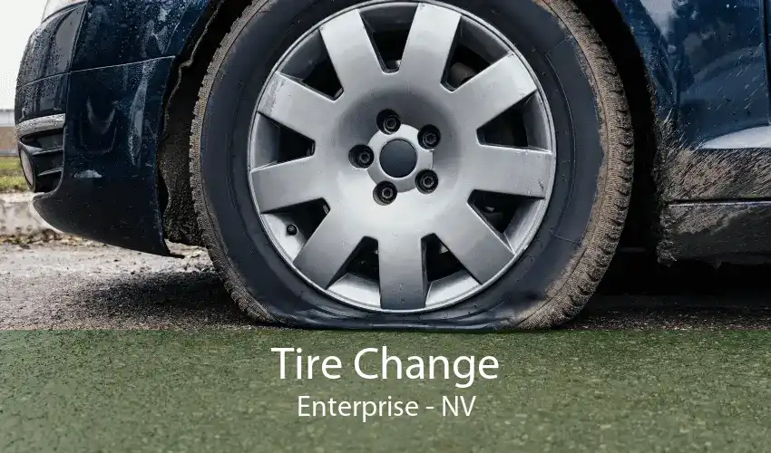 Tire Change Enterprise - NV