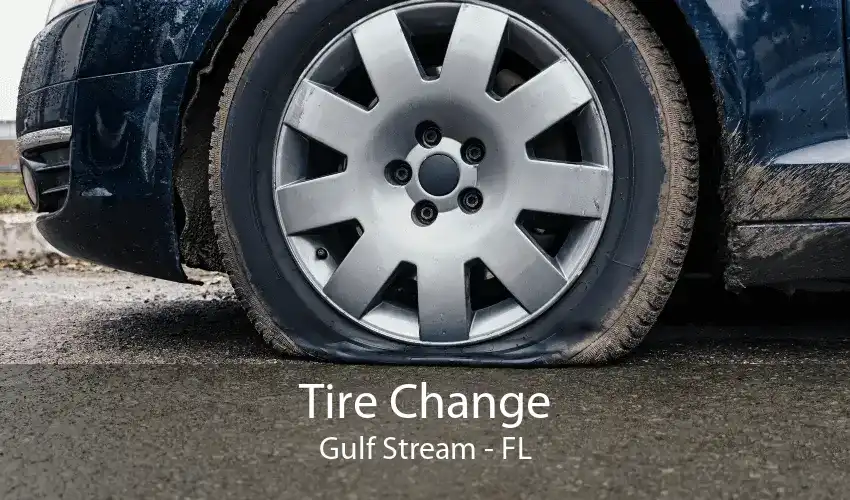 Tire Change Gulf Stream - FL