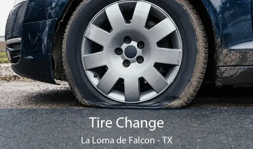 Tire Change La Loma de Falcon - TX