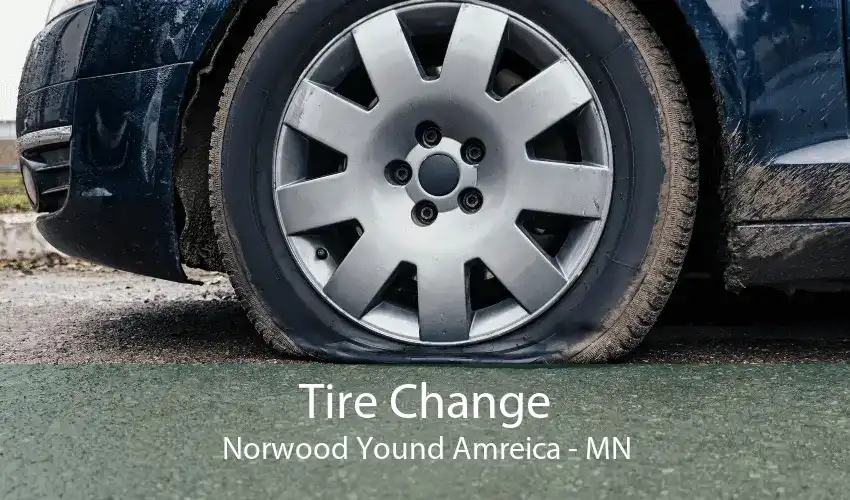 Tire Change Norwood Yound Amreica - MN