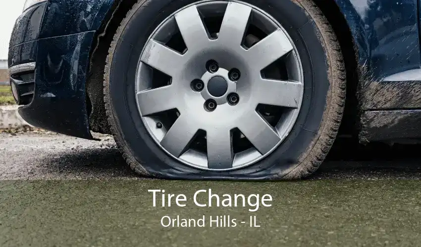 Tire Change Orland Hills - IL