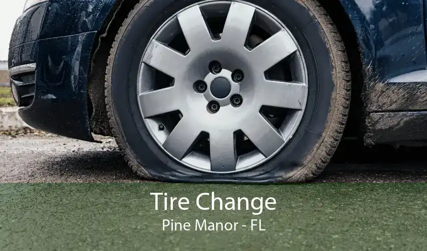 Tire Change Pine Manor - FL