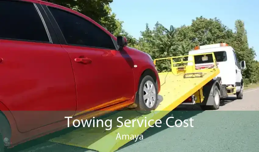 Towing Service Cost Amaya